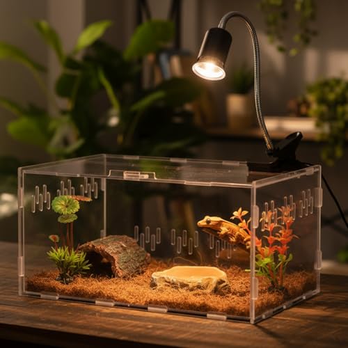Kathfly 13 Pcs Mini Reptile Terrarium Starter Kits, 12x8x6'' Insect Amphibians Reptile Tank Insect Habitat Cage Acrylic Tank Hidden Shell Heat Lamp Hammock and Other Accessories for Fish Turtle Spider
