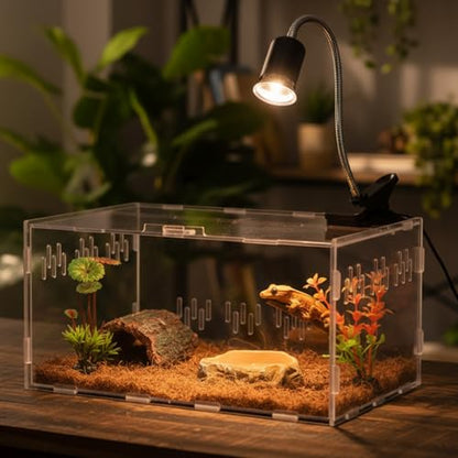 Kathfly 13 Pcs Mini Reptile Terrarium Starter Kits, 12x8x6'' Insect Amphibians Reptile Tank Insect Habitat Cage Acrylic Tank Hidden Shell Heat Lamp Hammock and Other Accessories for Fish Turtle Spider