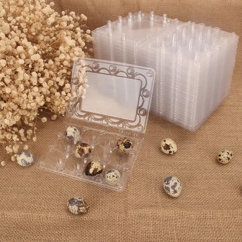 200 Pack Quail Egg Cartons, Clear Plastic Quail Egg Trays, Holds up to 12 Quail Eggs Securely - Your Ultimate Small Eggs Carton Holders for Bulk Storage and Display - size: 12 Grids