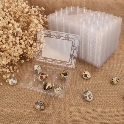 220 Pack Quail Egg Cartons, Clear Plastic Quail Egg Trays, Holds up to 12 Quail Eggs Securely - Your Ultimate Small Eggs Carton Holders for Bulk Storage and Display - size: 220 Pack Quail Egg Cartons 12 Grids