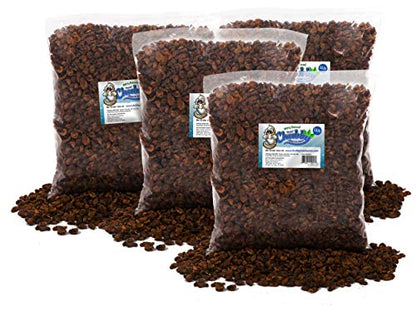 Chubby Dried Silkworm Pupae | 44 lbs | High-Protein Treat for Koi, Fish, Reptiles & Terrapins – Nutrient-Rich Calcium Snack - size: 44 Pound (Pack of 1)