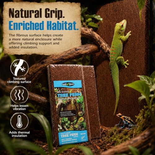 Fernwood - Vivarium and Terrarium Background Panels - 2 Pack - 18x6x.06 | Backdrop For Reptile, Amphibian, and Botanical Tanks - Made from New Zealand Tree Fern - Natural and Fibrous - size: Long 18x6x.06