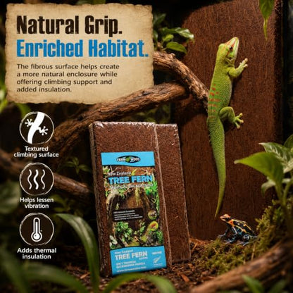 Fernwood - Vivarium and Terrarium Background Panels - 2 Pack - 18x6x.06 | Backdrop For Reptile, Amphibian, and Botanical Tanks - Made from New Zealand Tree Fern - Natural and Fibrous - size: Long 18x6x.06