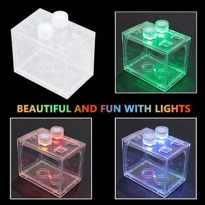 HOMSFOU Mini LED Light-up Acrylic Aquarium Kit, Small Desktop Terrarium with Full Spectrum LED Light, Creative Micro Aquatic Ecosystem for Home and Office Decor
