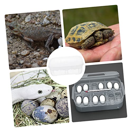 Transparent Reptile Breeding Box Incubation Hatchery Box for Snakes Lizards Easy to Clean Design for Reptile Pets Professional Incubator with Great Visibility