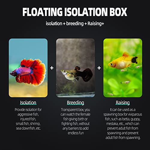 Aquarium Hatchery Incubator Breeding Box, Fish Tank Acrylic Isolation | Safe Hatchery & Isolation Space,High-Clarity Acrylic Construction,Ideal for Small Baby Fishes Shrimp Clownfish Guppy - size: M - 3.93*2.75*5.03 IN