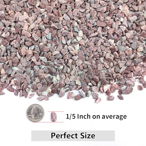2LB Succulent and Cactus Gravel Pebbles, 1/5 Inch Polished Stones Red | Natural Decorative River Rocks for Vases Gardening Indoor and Outdoor Decorative Rocks - color: Red, size: 2 Pounds