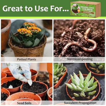 Riare 4pcs Organic Coco Coir Bricks, Natural Coconut Coir for Plants | High Expansion & Moisture Retention Coconut Husk Fiber for Seed Starting, Potting Mix, Composting, Soil Amendment & Reptiles - color: Pack of 4