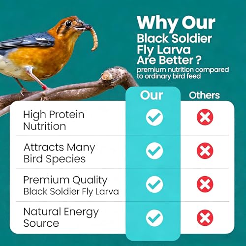 Dried Black Soldier Fly Larvae Chicken Feed 100% Natural Non-GMO, No Additives, Treat for Chickens, Reptiles and Birds, More Calcium than Mealworms for Wild Birds, Ducks, Laying Hens (2.5LBS)
