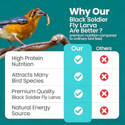 Dried Black Soldier Fly Larvae Chicken Feed 100% Natural Non-GMO, No Additives, Treat for Chickens, Reptiles and Birds, More Calcium than Mealworms for Wild Birds, Ducks, Laying Hens (2.5LBS)
