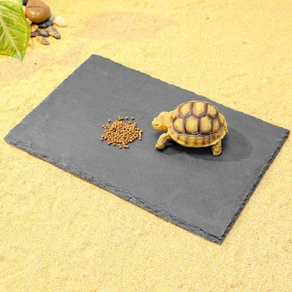 12x8 Natural Slate Basking Platform for Reptiles & Turtles | Non-slip rough slate platform for secure climbing. Holds heat to warm reptiles. feeding tray. Porous slate absorbs water. - size: 12'' x 8''