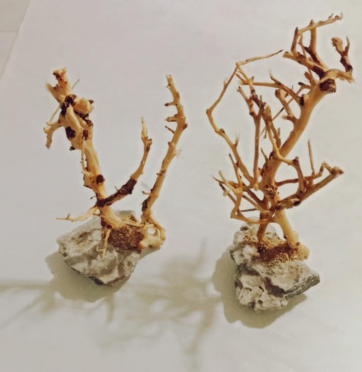 YZHZOM 2pcs Small Bonsai Aquarium Tree,4-6inch,Handmade Aquarium Bonsai Tree Aquarium Decor Tree