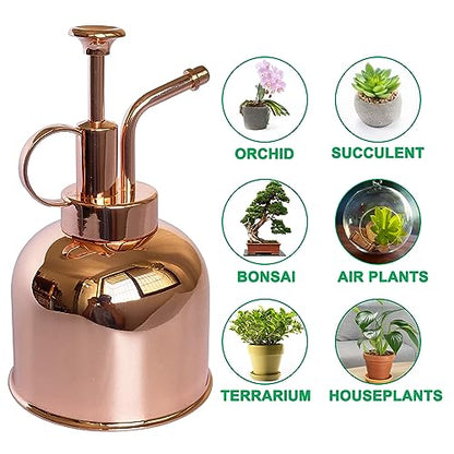 Plant Mister Spray Bottle Stainless Steel Plant Sprayer, Small Watering can Plant Spray Bottle Modern Gardening Tools for Indoor Potted Plants Watering and Spraying - color: 10oz/ Rose Gold