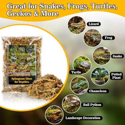 RAINFLOW Sphagnum Moss for Reptiles - 5.6 OZ Reptile Peat Moss for Terrarium Bedding Reptiles Snake Substrate for Reptile Tank, Snake, Leopard Gecko, Ball Python, Crested Gecko, Turtle, Frog, Hamster