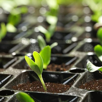 Seed Starting Soil Mix 2qt, Seed Starter Seedling Soil Ready to Use Suitable for Vegetable, Flower, Houseplant and Bonsai - color: Seedling Soil, size: 2qt