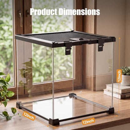 7 Gallon Fully Assembled Glass Reptile Enclosure,12"x 12" x 12" | Top Opening & Escape-Proof Reptile Terrarium Tank for Frog,Geckos,Tarantulas and Other Reptiles and Amphibians - size: 12“L x 12"W x 12"H