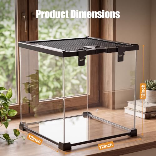 7 Gallon Fully Assembled Glass Reptile Enclosure,12"x 12" x 12" | Top Opening & Escape-Proof Reptile Terrarium Tank for Frog,Geckos,Tarantulas and Other Reptiles and Amphibians - size: 12“L x 12"W x 12"H