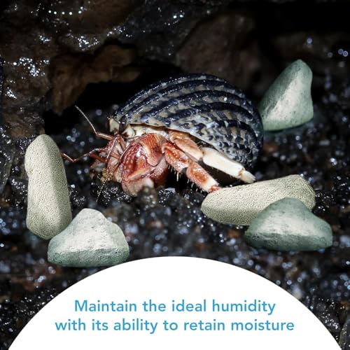 JOR 2 oz Hermit Crab Rocks, Natural Calcium Stones for Shrimp Tank Kit, Crab Decor Accessory, Rock Source for Crabs, Snails & Shrimp, Suitable for Marine Tanks, Freshwater Use & Terrarium Habitats