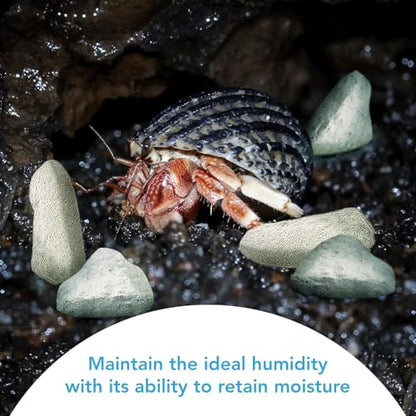 JOR 2 oz Hermit Crab Rocks, Natural Calcium Stones for Shrimp Tank Kit, Crab Decor Accessory, Rock Source for Crabs, Snails & Shrimp, Suitable for Marine Tanks, Freshwater Use & Terrarium Habitats