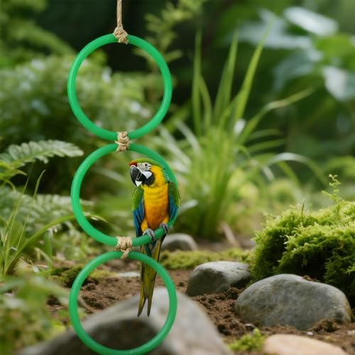 Snake Climbing Rings for Ball Python Corn Snake, Reptile Enrichment Toys for Snake, Ball Python Tank Decor, Reptile Tank Accessories for Bearded Dragon,Lizard,Swing Climbing Hoop Chain(Green)