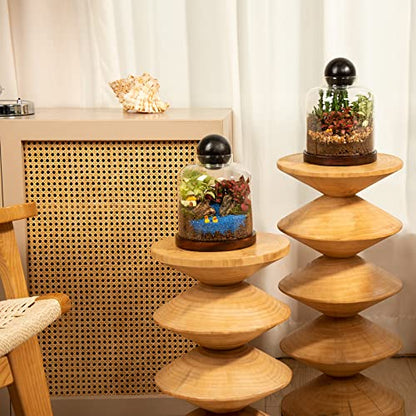 Large Glass Terrarium Succulent Plant Terrarium House for Plant/Moss Ball/Glass Fish Tank Mini Table with Wood Base & Ball lid Office Home Decoration | Mini Table with Wood Base/Ball lid Office Home Decoration - size: H-7IN