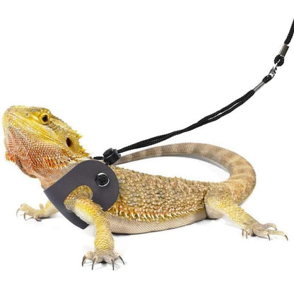 Small Animal Sling Carrier,Small Animal Bag for Bearded Dragons Lizards and Reptile with Adjustable Strap Tow Rope 3 Sizes Pack + Small Animal Sling Carrier（Grey） - color: Grey
