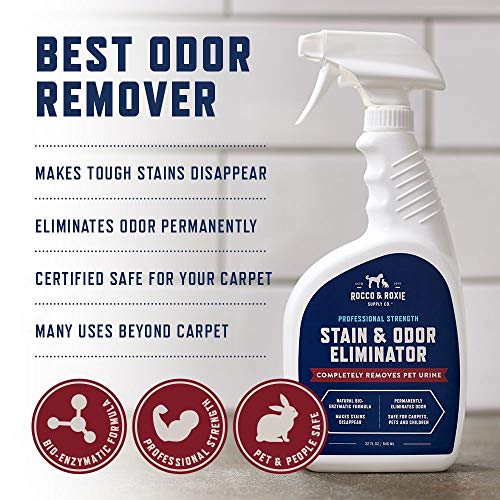 Rocco & Roxie Enzyme Stain & Odor Eliminator, 1 Gallon | Bio-enzymatic urine destroyer; CRI Certified Safe; made in USA; for carpets, bedding, litter boxes, crates & cars - size: 128 Fl Oz (Pack of 1)