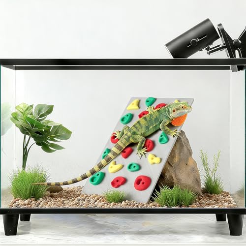 MITCHENIFY Reptile Climbing Wall, Bearded Dragon Accessories Toys | PLA Plastic, Simulating Natural Instincts, Habitat Enrichment Decor, Gift for Reptile Owners