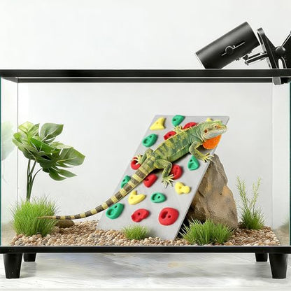 MITCHENIFY Reptile Climbing Wall, Bearded Dragon Accessories Toys | PLA Plastic, Simulating Natural Instincts, Habitat Enrichment Decor, Gift for Reptile Owners