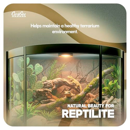 Carib Sea Reptiles Calcium Substrate Sand - 20 lb - Desert Rose - Calcium-Rich Sand for Reptile Terrariums, Ideal for Desert Species & Healthy Habitat