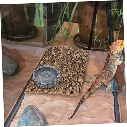 LIOOBO Tortoise Feeding Basin Reptile Water Bowl for Snake Lizard Turtle Pet Food Storage Basin Solid Material Easy Cleaning Reptile Accessories