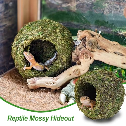 4pcs Crested Gecko Hide,Reptile Mossy Caves Hideout,Leopard Gecko Humid Hide,Natural Moss Cave Hiding Decor Tank Accessories for Reptiles, Amphibians,Invertebrates,Lizard,Frog