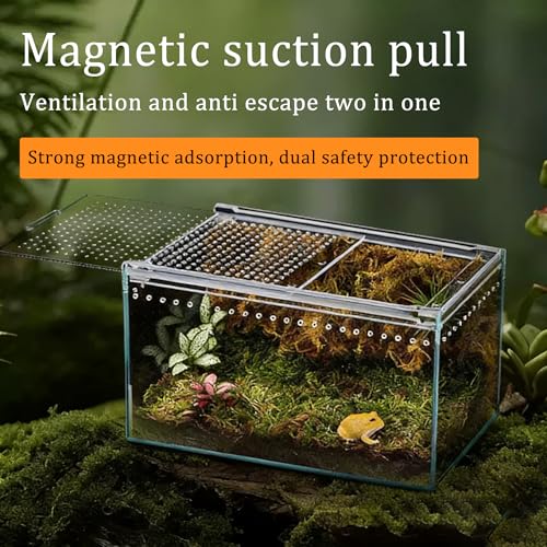 Insect breeding Box Reptile Feeding Box, Waterproof Enclosure Enclosure for arboreal Tarantula Scorpion Sling Lizards Snake Gecko Jumping Spider Snail Isopods, Reptile breeding Box (8x6x4 Inch) ﻿
