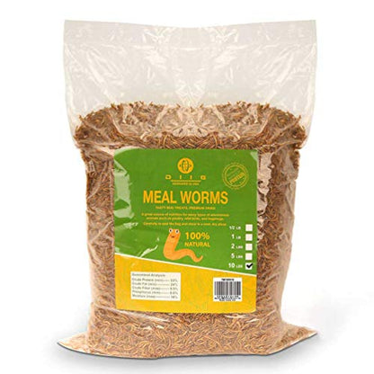 DIIG 10LB 100% Natural Non GMO Dried Mealworms - High Protein Treats for Birds Chickens, Ducks - size: 10 Pound (Pack of 1)