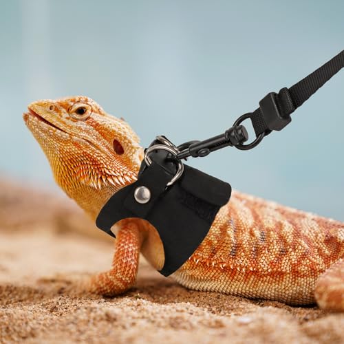 Bearded Dragon Harness Leash Set, 3 Size Lizard Harness, Black | Soft Vest Harness, Adjustable Hook and Loop, Durable Leash, For Bearded Dragon Lizard Reptile, Great for Outdoor Walking - color: Black