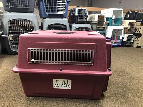 Live Animal Shipping Label Set of 5 (Waterproof, Reflective, Plastic & Paper) for Airline Travel, Includes Kennel Name Tag & Zipper Pouch