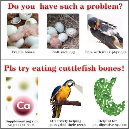4.7-5.1'' Cuttlebone for Parakeets Cuttlebone for Birds - Natural Cuttlefish Bone Bulk Chew Toy Bird Bites Calcium Stone for Canaries Tortoises,Snails,Reptiles,Parrots,Cockatiel-20PCS - size: 20PCS