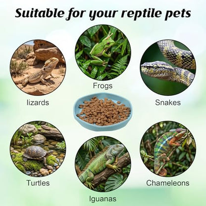 6 Pack Plastic Water Feeder Bowl Small Reptile Food Dish Bowl Reusable Worm Water Dish Plate Small Reptile Feeding Dishes for Lizard Gecko Bearded Dragon Chameleon Hermit Crabs 4" W x 4" D x 0.5" H