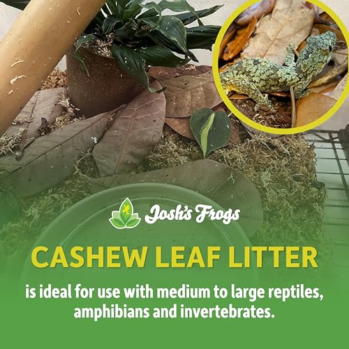 Josh's Frogs Small Cashew Leaf Litter (10 Count)