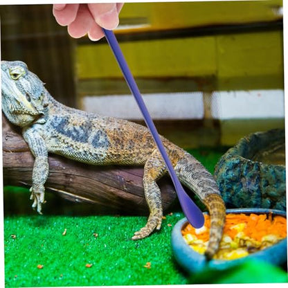 TOYANDONA 2pcs Stainless Steel Reptile Food Spoon Lizard Feeding Scoop for Easy Compact and for Lizards Frogs and Small Animals