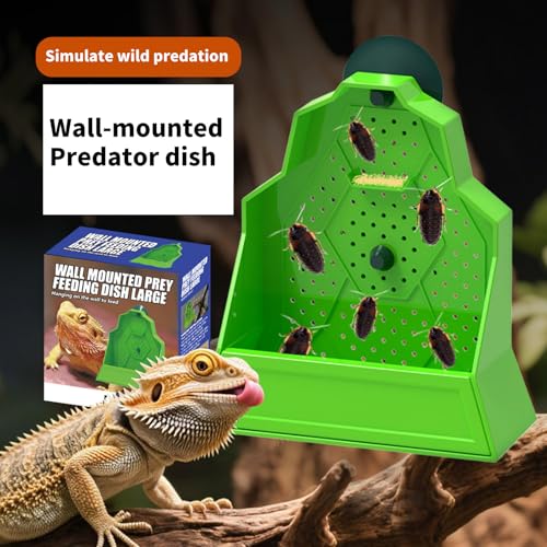 Secure Suction Reptiles Feeder Bowl with Ventilation Holes and Escape Design for Live in Aquariums Terr - color: S