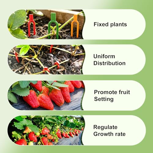 150 Pcs Reusable U-Shaped Plastic Garden pins Serve as Secure Anchor Clips for Plant cuttings, Effectively Supporting Strawberry Runners and Vines to Promote Rooting.