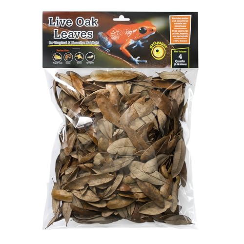 Galápagos (05154) Natural Live Oak Leaf Litter, Ideal Leaf Litter for Reptiles, Isopods & Bioactive Terrariums, 4QT, Natural
