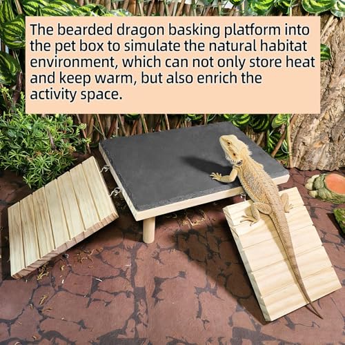 Bearded Dragon Basking Platform with Climbing Ramp,Reptile Basking Rock Slate,Wooden Platform Hide Cave Tank Accessories for Lizard Tortoise Leopard Gecko Snake (M) - size: M - 11.8"D x 5.9"W x 4.7"H