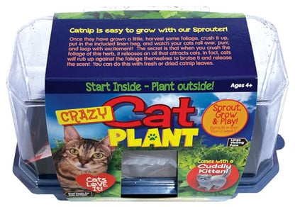 Toys by Nature Miniature Worlds Organic Catnip Windowsill Terrarium Starter Kit, Complete Supplies and Easy-to-Grow Indoor Plants Linen Sachet and Seeds Included! (Crazy Cat Plant) - style: Crazy Cat Plant