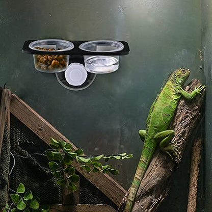 2pcs Reptile Bowl Reptile Drinking Basin Large Capacity Water Basin Reptile Food Basin Feeder with Suction Cup Reptile Feeder Feeding Supplies Lizard Food Bowl Stable Lizard Feeder