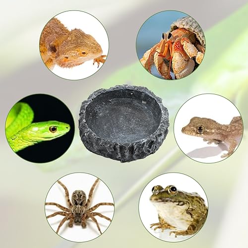 Reptile Water Dish Food Bowl for Bearded Dragon Tank Accessories, 2 Pack Reptile Feeding Dish Corner Bowl with Tweezers and Cleaning Shovel for Lizard Gecko Tortoise Hermit Crab (Black Grey)