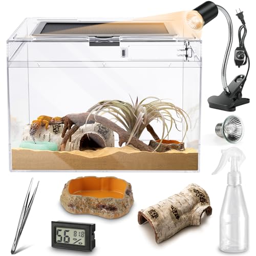 Slide Lid Tank L 11.8x7.8x5.9IN and Reptile Terrarium Kit L 15.6“ x 8“ x 10”