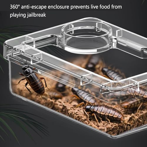 Reptile Water Bowl - Anti-Escape Crested Gecko Food Dish, Reptile Amphibian Feeders, Polystyrene | Snake Water Bowl for Habitat Feeding Gecko Chameleon Terrarium Frog Tank Lizard Tortoise Cage Le - color: White