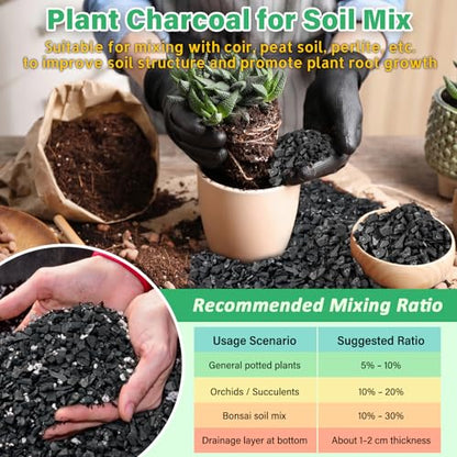 6QT All Natural Horticultural Charcoal- Activated Hardwood Plant Charcoal for Soil Amendment, Conditioning Bonsai Soil, Succulent Soil, Terrarium Supplies, Indoor Plant Potting Soil - color: 6 QT